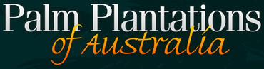 Palm Plantations Of Australia